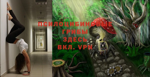 таблы Липки