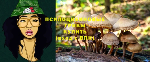 таблы Липки
