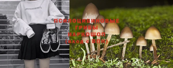 мескалин Фёдоровский