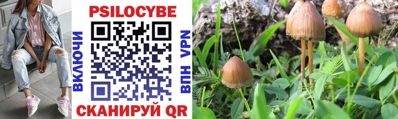 Псилоцибиновые грибы Psilocybine cubensis  Купить  Магас 